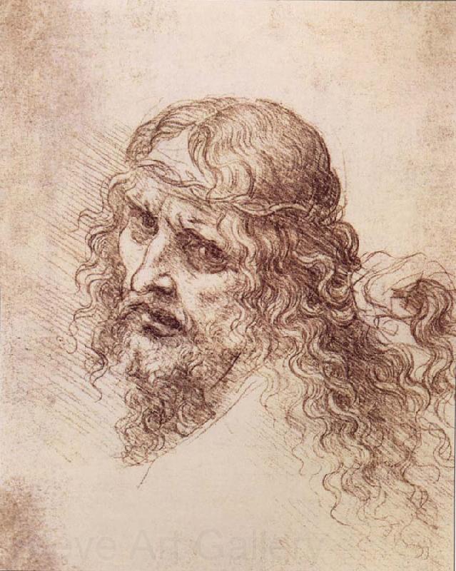 LEONARDO da Vinci Head and shoulders Christs